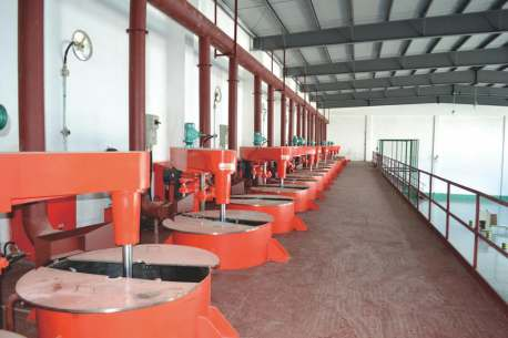 Fixed Paint Disperser