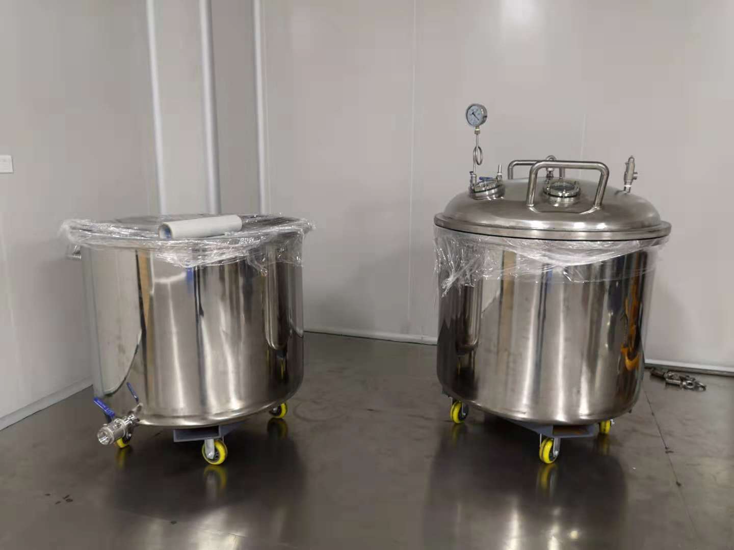 Jacketed Reaction Kettle